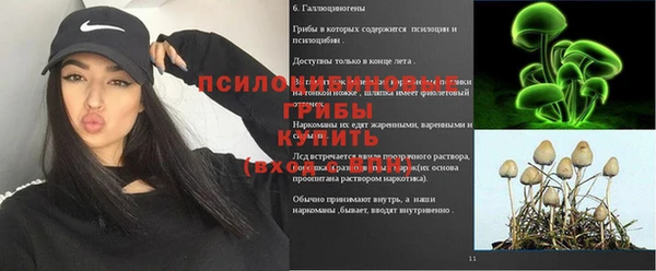 прущая мука Алексин