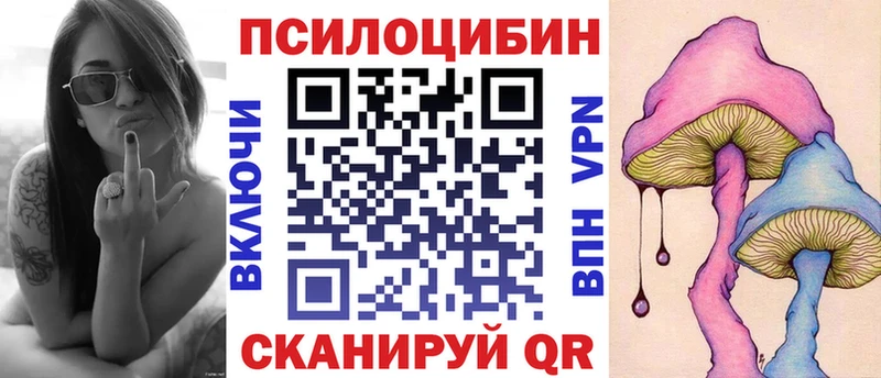 сколько стоит  kraken маркетплейс  Псилоцибиновые грибы мицелий  Кола 
