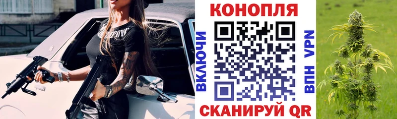 Бошки Шишки план  магазин  наркотиков  ОМГ ОМГ   Кола 